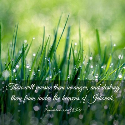 Picture 03 - Lamentations 3:66 ASV - Thou wilt pursue them in anger, and destroy them - Bible Verse Picture
