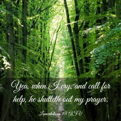 Picture 03 - Lamentations 3:8 ASV - Yea, when I cry, and call for help, he shutteth - Bible Verse Picture