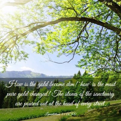 Picture 03 - Lamentations 4:1 ASV - How is the gold become dim! `how' is the most - Bible Verse Picture