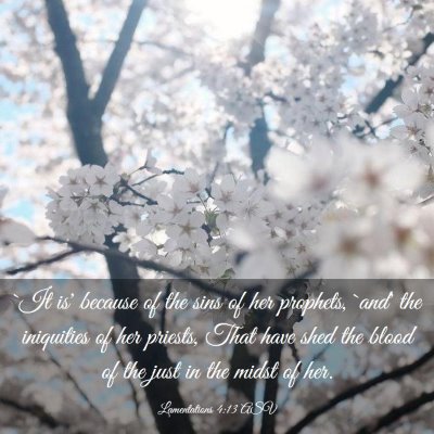 Picture 03 - Lamentations 4:13 ASV - `It is' because of the sins of her prophets, - Bible Verse Picture