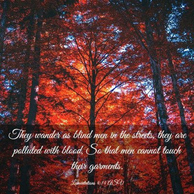 Picture 03 - Lamentations 4:14 ASV - They wander as blind men in the streets, they are - Bible Verse Picture