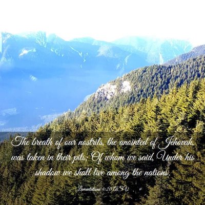 Picture 03 - Lamentations 4:20 ASV - The breath of our nostrils, the anointed of - Bible Verse Picture