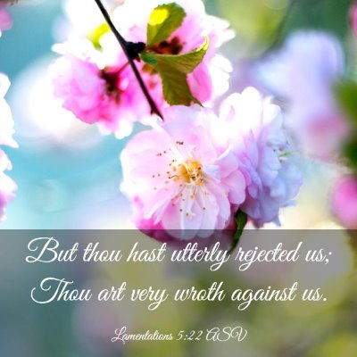 Picture 03 - Lamentations 5:22 ASV - But thou hast utterly rejected us; Thou art very - Bible Verse Picture