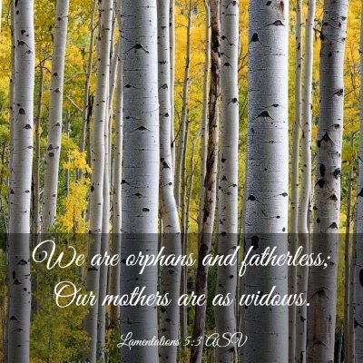 Picture 03 - Lamentations 5:3 ASV - We are orphans and fatherless; Our mothers are as - Bible Verse Picture