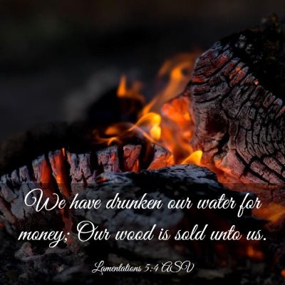 Picture 03 - Lamentations 5:4 ASV - We have drunken our water for money; Our wood is - Bible Verse Picture