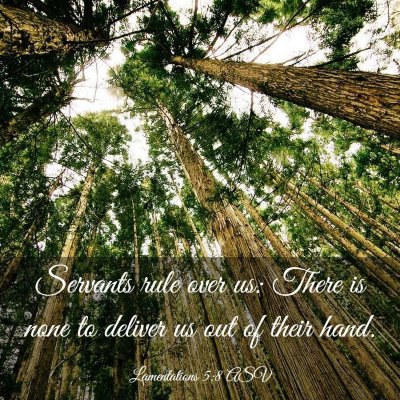 Picture 03 - Lamentations 5:8 ASV - Servants rule over us: There is none to deliver - Bible Verse Picture