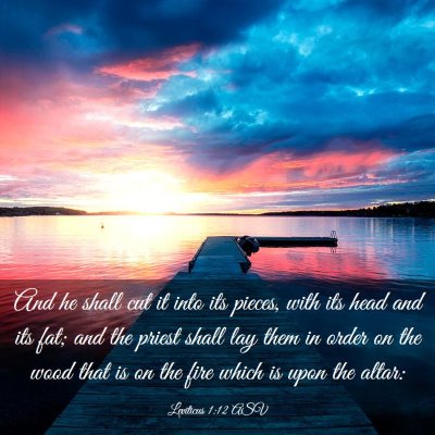 Picture 03 - Leviticus 1:12 ASV - And he shall cut it into its pieces, with its - Bible Verse Picture