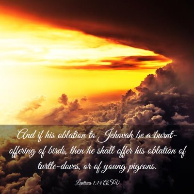 Picture 03 - Leviticus 1:14 ASV - And if his oblation to Jehovah be a - Bible Verse Picture