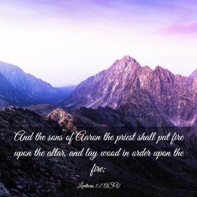 Picture 03 - Leviticus 1:7 ASV - And the sons of Aaron the priest shall put fire - Bible Verse Picture