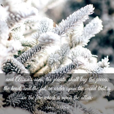 Picture 03 - Leviticus 1:8 ASV - and Aaron's sons, the priests, shall lay the - Bible Verse Picture