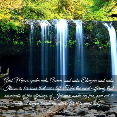 Picture 03 - Leviticus 10:12 ASV - And Moses spake unto Aaron, and unto Eleazar and - Bible Verse Picture