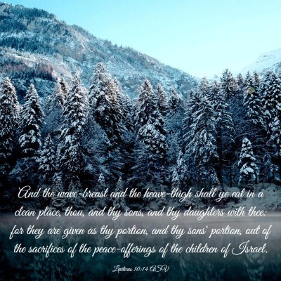 Picture 03 - Leviticus 10:14 ASV - And the wave-breast and the heave-thigh shall ye - Bible Verse Picture