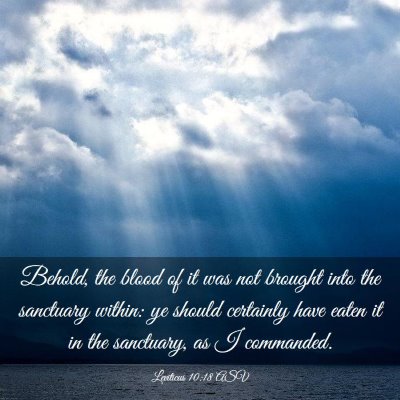 Picture 03 - Leviticus 10:18 ASV - Behold, the blood of it was not brought into the - Bible Verse Picture