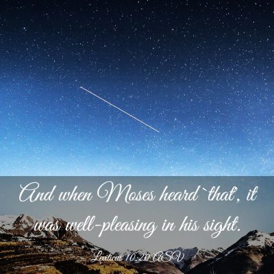 Picture 03 - Leviticus 10:20 ASV - And when Moses heard `that', it was well-pleasing - Bible Verse Picture