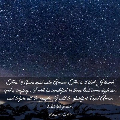 Picture 03 - Leviticus 10:3 ASV - Then Moses said unto Aaron, This is it that - Bible Verse Picture