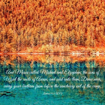 Picture 03 - Leviticus 10:4 ASV - And Moses called Mishael and Elzaphan, the sons - Bible Verse Picture