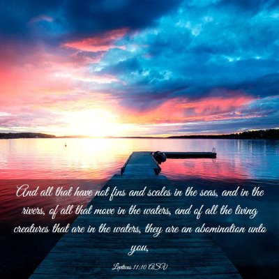 Picture 03 - Leviticus 11:10 ASV - And all that have not fins and scales in the - Bible Verse Picture