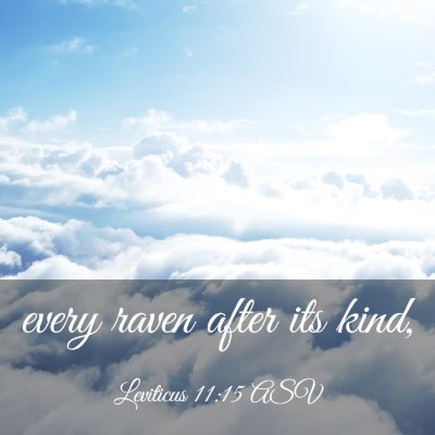 Picture 03 - Leviticus 11:15 ASV - every raven after its - Bible Verse Picture