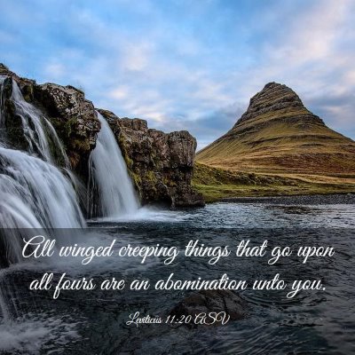 Picture 03 - Leviticus 11:20 ASV - All winged creeping things that go upon all fours - Bible Verse Picture
