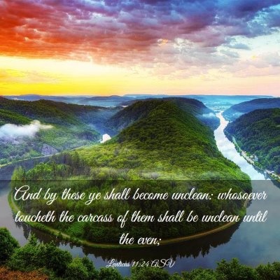 Picture 03 - Leviticus 11:24 ASV - And by these ye shall become unclean: whosoever - Bible Verse Picture