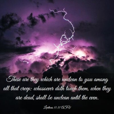 Picture 03 - Leviticus 11:31 ASV - These are they which are unclean to you among all - Bible Verse Picture
