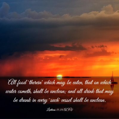 Picture 03 - Leviticus 11:34 ASV - All food `therein' which may be eaten, that on - Bible Verse Picture