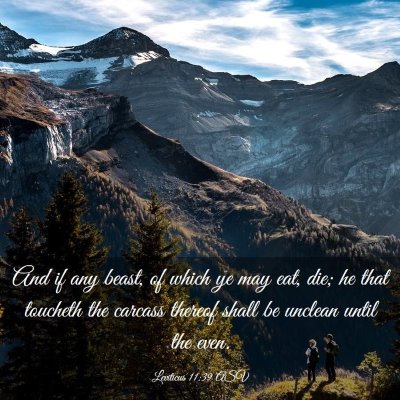 Picture 03 - Leviticus 11:39 ASV - And if any beast, of which ye may eat, die; he - Bible Verse Picture