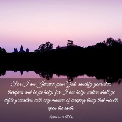 Picture 03 - Leviticus 11:44 ASV - For I am Jehovah your God: sanctify yourselves - Bible Verse Picture