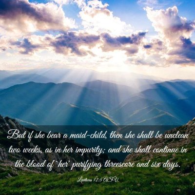 Picture 03 - Leviticus 12:5 ASV - But if she bear a maid-child, then she shall be - Bible Verse Picture