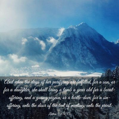 Picture 03 - Leviticus 12:6 ASV - And when the days of her purifying are fulfilled, - Bible Verse Picture