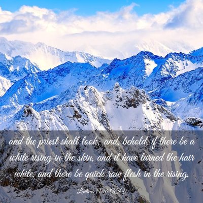 Picture 03 - Leviticus 13:10 ASV - and the priest shall look; and, behold, if there - Bible Verse Picture