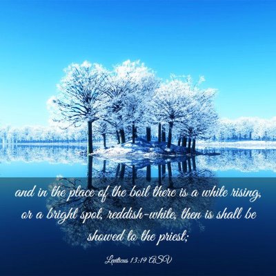 Picture 03 - Leviticus 13:19 ASV - and in the place of the boil there is a white - Bible Verse Picture