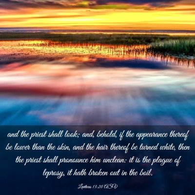 Picture 03 - Leviticus 13:20 ASV - and the priest shall look; and, behold, if the - Bible Verse Picture
