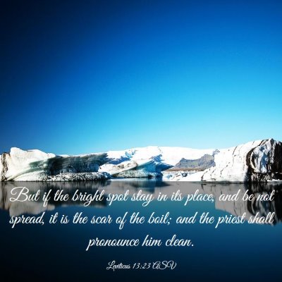 Picture 03 - Leviticus 13:23 ASV - But if the bright spot stay in its place, and be - Bible Verse Picture