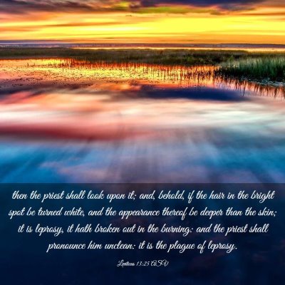 Picture 03 - Leviticus 13:25 ASV - then the priest shall look upon it; and, behold, - Bible Verse Picture