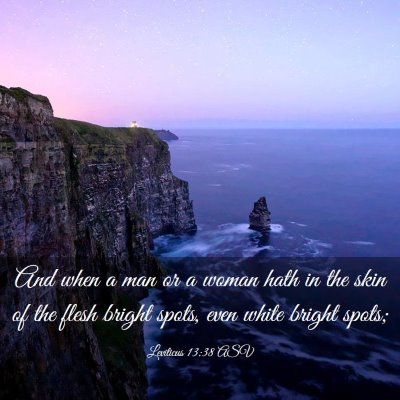 Picture 03 - Leviticus 13:38 ASV - And when a man or a woman hath in the skin of the - Bible Verse Picture
