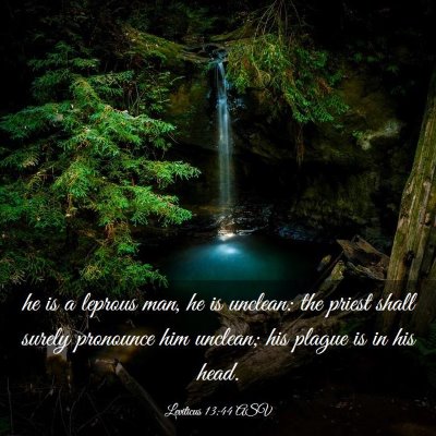 Picture 03 - Leviticus 13:44 ASV - he is a leprous man, he is unclean: the priest - Bible Verse Picture