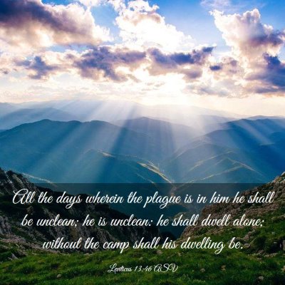 Picture 03 - Leviticus 13:46 ASV - All the days wherein the plague is in him he - Bible Verse Picture