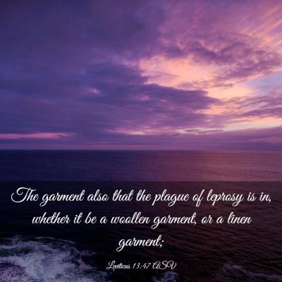 Picture 03 - Leviticus 13:47 ASV - The garment also that the plague of leprosy is - Bible Verse Picture