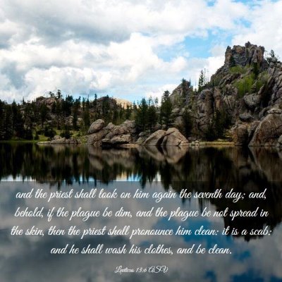 Picture 03 - Leviticus 13:6 ASV - and the priest shall look on him again the - Bible Verse Picture