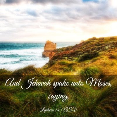 Picture 03 - Leviticus 14:1 ASV - And Jehovah spake unto Moses, - Bible Verse Picture