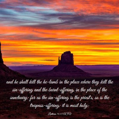 Picture 03 - Leviticus 14:13 ASV - and he shall kill the he-lamb in the place where - Bible Verse Picture