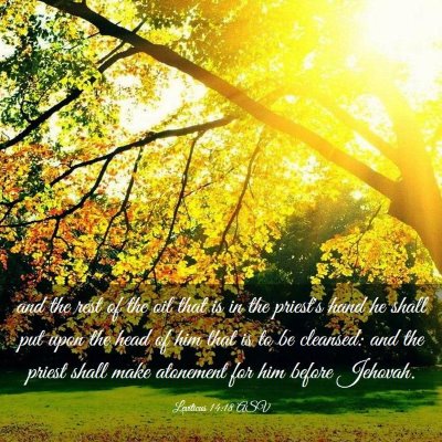 Picture 03 - Leviticus 14:18 ASV - and the rest of the oil that is in the priest's - Bible Verse Picture