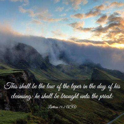 Picture 03 - Leviticus 14:2 ASV - This shall be the law of the leper in the day of - Bible Verse Picture