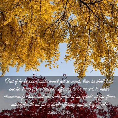 Picture 03 - Leviticus 14:21 ASV - And if he be poor, and cannot get so much, then - Bible Verse Picture