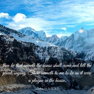 Picture 03 - Leviticus 14:35 ASV - then he that owneth the house shall come and tell - Bible Verse Picture