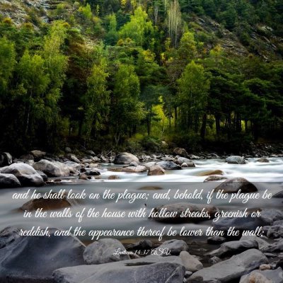 Picture 03 - Leviticus 14:37 ASV - and he shall look on the plague; and, behold, if - Bible Verse Picture