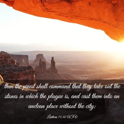 Picture 03 - Leviticus 14:40 ASV - then the priest shall command that they take out - Bible Verse Picture