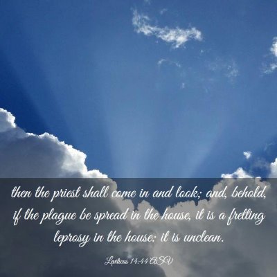 Picture 03 - Leviticus 14:44 ASV - then the priest shall come in and look; and, - Bible Verse Picture