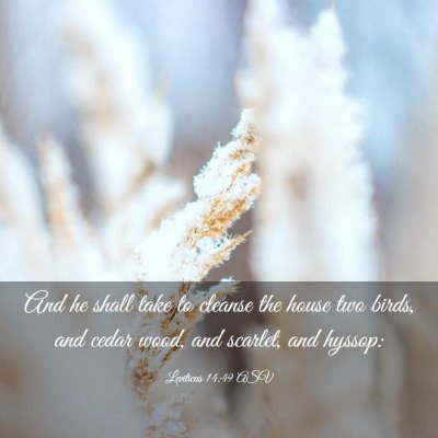 Picture 03 - Leviticus 14:49 ASV - And he shall take to cleanse the house two birds, - Bible Verse Picture